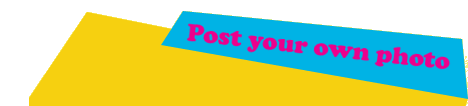 Post your own photos